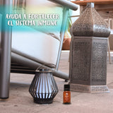 OLEUM VITAE Kit Mezclas de Aceites Esenciales Vitalidad. 100% Puros y Orgánicos. Digest, Breathe, Relief, Protect