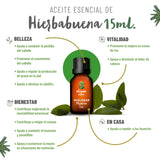 ▶ OLEUM VITAE Kit de Aceites Esenciales DIGEST-MENTA-HIERBABUENA. 100% Puros y Orgánicos. Apoyo Perfecto para la Digestión. Aplicación Aromática, Interna y Externa