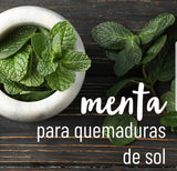OLEUM VITAE Aceite Esencial de Menta. Mentha Piperita.100% Puro y Orgánico. Certificado USDA ORGANIC. Aplicación Interna, Externa y Aromática. 15ml