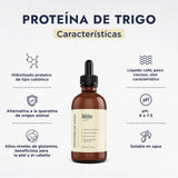 ▶ HEBBE  - Proteína de Trigo 100 g | Aumenta la Firmeza de la Piel | Formación de Película | Rico en Aminoácidos y Antioxidantes | Libre de Gluten | Previene la Sequedad de la Piel | Reduce Arrugas | Contenido 100 g