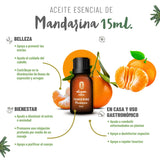 OLEUM VITAE Kit de Aceites Esenciales Bienestar. 100% Puros y Orgánicos. Jengibre, Mandarina, Melisa, Bergamota, Canela y Balance.