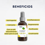 ▶ HEBBE  - Hidrolato de Hamamelis 120 ml | Tonico facial | Astringente Calmante | pH Natural | Ideal para la Piel | Antiinflamatorio | Regenerante | Purificante | Cicatrizante | Contenido 120 ml