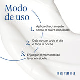 ▶ MARAMA | Shampoo sin Parabenos - Aloe Vera - 500 ml | Fortalece el Cabello - Tratamiento para Cabello Maltratado - Suavizante | Anti Frizz Cabello | Vegano - Cruelty-Free - Reciclable