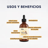 ▶ HEBBE  - Extracto Vegetal de Jalea Real 100 g | Retrasa los Signos del Envejecimiento, Tonificante y Estimulante | Mejora la Hidratación y Elasticidad de la Piel | Aumenta la Producción de Colágeno | Contenido de 100 g