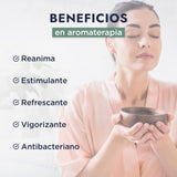 ▶ HEBBE - Aceite Esencial de Romero 50 ml | Apoyo en el Tratamiento de Problemas Respiratorios | Combate la Fatiga, es Antiinflamatorio y Analgésico Natural | Cicatrizante Natural | Contenido de 50 ml