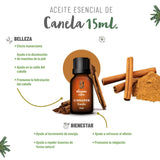 OLEUM VITAE Kit de Aceites Esenciales Bienestar. 100% Puros y Orgánicos. Jengibre, Mandarina, Melisa, Bergamota, Canela y Balance.
