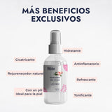 ▶ HEBBE - AGUA DE ROSAS ORGÁNICA | BIO HIDROLATO HIDROSOL DE ROSAS | ESTIMULANTE DEL CABELLO Y CUERO CABELLUDO | USO COMO FIJADOR DE MAQUILLAJE | REJUVENECEDOR NATURAL, HIDRATANTE Y REFRESCANTE | CONTENIDO 120 ML