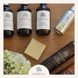 ▶ LOREDANA  | Crema Corporal Té Blanco Y Jengibre | Ayuda A Hidratar, Humectar Y Refrescar La Piel | Protege La Piel De Agresiones Del Medio Ambiente | Libre De Parabenos Y Sulfatos (500 ml)