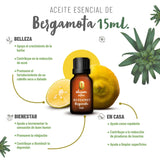 OLEUM VITAE Kit de Aceites Esenciales Bienestar. 100% Puros y Orgánicos. Jengibre, Mandarina, Melisa, Bergamota, Canela y Balance.