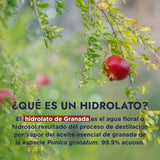 ▶ HEBBE  - Hidrolato de Granada 120 ml | Combate el Envejecimiento Prematuro | Protección Cutánea Antioxidante | Regeneración Celular | Sebo Regulador en Pieles con Acné | Mejora la Piel Madura | Contenido 120 ml