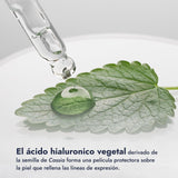 ▶ HEBBE - ÁCIDO HIALURÓNICO PARA CUIDADO FACIAL | Potencia Luminosidad de la Piel | Hidrata y Reduce Apariencia Ceniza | 50 ml | Antiedad y Relleno de Arrugas | Sin Parabenos | Ideal como Base de Maquillaje