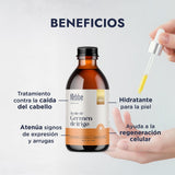 ▶ HEBBE  - Aceite de Germen de Trigo 250 ml | Tratamiento para Caída de Cabello | Atenuador de Arrugas y Signos de Expresión | Hidratante y Regenerador Celular | Contenido de 250 ml