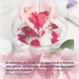 ▶ HEBBE - AGUA DE ROSAS ORGÁNICA | BIO HIDROLATO HIDROSOL DE ROSAS | ESTIMULANTE DEL CABELLO Y CUERO CABELLUDO | USO COMO FIJADOR DE MAQUILLAJE | REJUVENECEDOR NATURAL, HIDRATANTE Y REFRESCANTE | CONTENIDO 120 ML