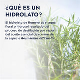 ▶ HEBBE  - Hidrolato de Romero 1 L | Tratamiento para Pieles Sensibles y Dañadas | Cicatrizante y Reequilibrante | Tónico Purificante para Pieles con Imperfecciones | Contenido de 1 L