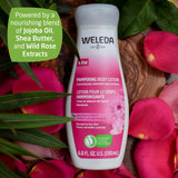 Weleda Pampering Wild Rose Body Lotion, 6.8 Fluid Ounces, Plant Rich Moisturizer with Wild Rose Oil, Jojoba Oil and Shea Butter