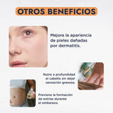 ▶ HEBBE  - Aceite de Germen de Trigo 250 ml | Tratamiento para Caída de Cabello | Atenuador de Arrugas y Signos de Expresión | Hidratante y Regenerador Celular | Contenido de 250 ml