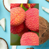 ▶ RAW SUGAR , Shampoo The Wave Maker con Lichi y Leche de Coco, Volumen y Textura Natural, sin Sulfatos, 18 OZ