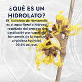 ▶ HEBBE  - Hidrolato de Hamamelis 120 ml | Tonico facial | Astringente Calmante | pH Natural | Ideal para la Piel | Antiinflamatorio | Regenerante | Purificante | Cicatrizante | Contenido 120 ml