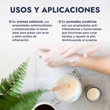 ▶ HEBBE  - ACEITE GRASO VIRGEN DE CALÉNDULA | Protección Rayos UV | Mejora Firmeza de la Piel | Controlador de Acné y Erupciones | 120 ml | Orgánico y Cruelty-Free | Calma la Piel Después de la Exposición Solar