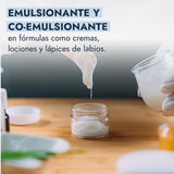 ▶ HEBBE - Alcohol Cetílico 1 kg | Emoliente y Lubricante | Compatible con Piel y Mucosas | No Irritante | Contenido de 1 kg