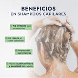 ▶ HEBBE  | Coco Glucósido | Tensoactivo Para todo tipo de Piel | Espumante Sin Irritación | Biodegradable | 1 kg