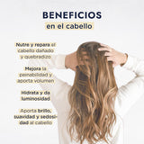 ▶ HEBBE  - Proteína de Trigo 100 g | Aumenta la Firmeza de la Piel | Formación de Película | Rico en Aminoácidos y Antioxidantes | Libre de Gluten | Previene la Sequedad de la Piel | Reduce Arrugas | Contenido 100 g