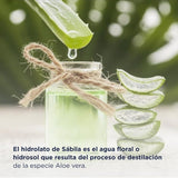 ▶ HEBBE - Hidrolato de aloe 500 ml | Humecta, hidrata y refresca | Disminuye las ojeras y alivia los ojos cansados | Repara los daños solares | Ofrece limpieza profunda para la piel | Ayuda a la eliminación de la suciedad | Contenido: 500 ml