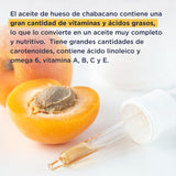 ▶ HEBBE  - Aceite de Chabacano 100 ml | No Obstruye los Poros y Combate el Envejecimiento | Rico en Polifenoles, Desinflama y Alivia la Irritación de la Piel | Apto para Todo Tipo de Piel | Estimula la Regeneración Cutánea | Contenido de 100 ml