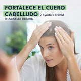 ▶ HEBBE  - Hidrolato de Romero 125 ml | Aliado para Pieles Sensibles y Dañadas por el Paso del Tiempo | Tónico Purificante, Regularizador y Cicatrizante | Reequilibra la Piel | Contenido de 125 ml