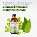 ▶ HEBBE - Aceite de Neem | Mejora, Repara y Protege la Piel | Promueve la Síntesis de Colágeno y Ayuda en el Tratamiento del Acné Inflamatorio | Alivia el Picor de la Varicela | Contenido de 250 ml