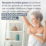 ▶ HEBBE  - Ricinoleato de Zinc 100 g | No Obstruye Poros | No Inhibe Transpiración | No Irrita la Piel | Recomendado para Piel Sensible | Desodorante Natural | Contenido de 100 g