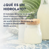 ▶ HEBBE   - Hidrolato de Arroz 120 ml | Activa Antipigmentación | Inhibe la Producción de Melanina | Mejora Dermatitis Atópica | Reduce Poros Abiertos | Mejora la Hidratación de la Piel | Contenido 120 ml
