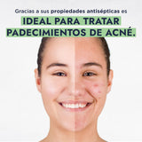 ▶ HEBBE  - Hidrolato de Romero 125 ml | Aliado para Pieles Sensibles y Dañadas por el Paso del Tiempo | Tónico Purificante, Regularizador y Cicatrizante | Reequilibra la Piel | Contenido de 125 ml