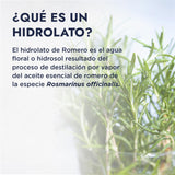 ▶ HEBBE  - Hidrolato de Romero 125 ml | Aliado para Pieles Sensibles y Dañadas por el Paso del Tiempo | Tónico Purificante, Regularizador y Cicatrizante | Reequilibra la Piel | Contenido de 125 ml