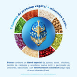 Birdman Falcon Protein Proteina Vegetal Organica En Polvo (Vegana) Certificada USDA, 22gr Proteina por porción, Sin inflamacion, Sin acne, 17 Porciones Sabor Vainilla | 17 servicios | 510gr