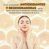 ▶ HEBBE  - Extracto Vegetal de Jalea Real 100 g | Retrasa los Signos del Envejecimiento, Tonificante y Estimulante | Mejora la Hidratación y Elasticidad de la Piel | Aumenta la Producción de Colágeno | Contenido de 100 g