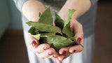 COMO CREAR POMADAS NATURALES