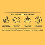 Burt's Bees crema renovadora, Night Cream, Crema, 50 mL (1.8 oz)