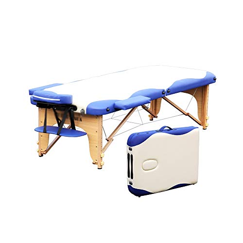 Cama de Masaje, Plegable Belleza Cama Cama Portable Inicio Fisioterapia Moxibustión Tatuaje Mesa de Masaje (Color : Style 1)