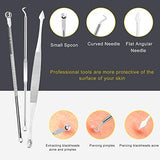 Herramienta removedora de puntos negros, Boxoyx 10 piezas profesional extractor de comedones de espinillas, kit de eliminación de acné – Tratamiento para espinillas, puntos negros, eliminación de zit, frente, facial y nariz (plata)
