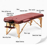 ▶ Cama De Masaje , Plegable Belleza Cama Cama Portable Inicio Fisioterapia Moxibustión Tatuaje Mesa de Masaje (Color : Style 1)