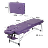 Mesa de Masaje portátil, Copa de Tatuaje de salón Facial Plegable, 2 Cama de Masaje Plegable Altura de Aluminio Ajustable Salón Facial Cama de Tatuaje (Color : Green)
