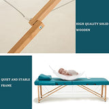 2 Cama De Masaje Plegable Camilla De Masaje Portátil Cama Facial Cama De Tatuaje Camilla De Masaje Ajustable con Bolsa De Tela No Tejida (Color : D, Size : 186x70x48-75cm)