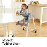 Ingenuity Trio Elite Silla alta 3 en 1, Slate, Pizarra, Grey