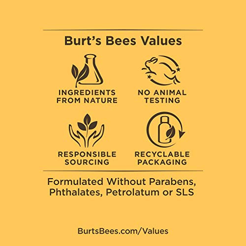 Burt's Bees Aceite Facial Limpiador - Cleansing Oil 117 ml
