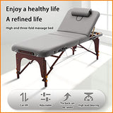 Cama De Masaje Plegable Portátil De Mano con Patrón Corporal La Cama De Belleza Se Puede Levantar Y Bajar La Espalda Ajustable Se Puede Levantar para Soportar Una Gran Carga,Red