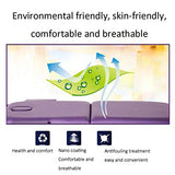Cama de Masaje, Sofá Cama Plegable Portátil para El Hogar, Cama de Tatuaje para Salón de Belleza, Adecuada para Masajear La Cabeza y El Cuello Mesa de Masaje (Color : Style 1)
