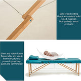 Camilla De Masaje Portátil Cama De Masaje para SPA Cama De SPA Plegable, Altura Ajustable Mesa De Masaje 2 Colgador De Mesa De Salón De Masaje Plegable Cama De Salón De Tatuajes Faciales