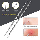 Herramienta removedora de puntos negros, Boxoyx 10 piezas profesional extractor de comedones de espinillas, kit de eliminación de acné – Tratamiento para espinillas, puntos negros, eliminación de zit, frente, facial y nariz (plata)