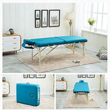 Cama de Masaje, Salón de Belleza Portátil Compacto Fisioterapia Cama para Tatuaje Acupuntura Mesa de Masaje (Color : Brown)